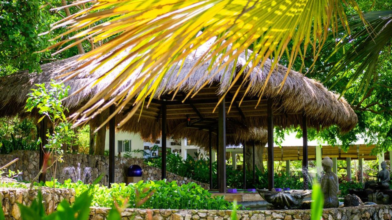 The Dream Beach Resort Тейтей Екстер'єр фото